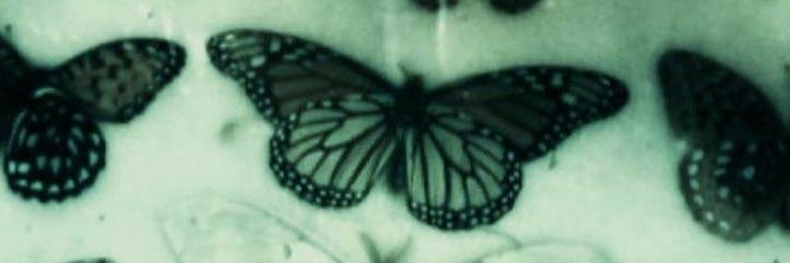 pretty_puppet's profile banner image