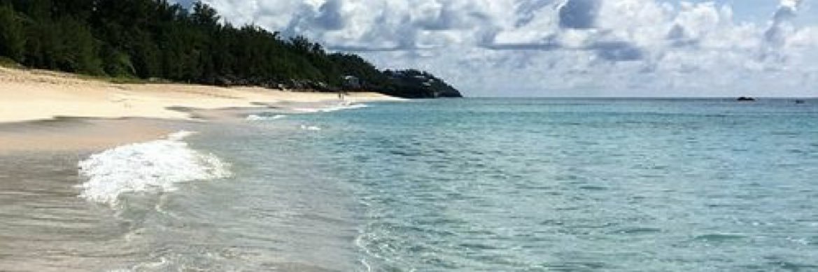 Sandy_Bln's profile banner image