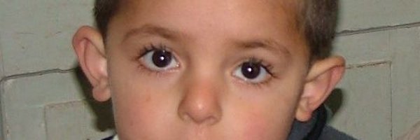 oknetizen Profile Banner