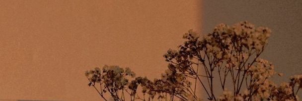 MerveLeylek5's profile banner image