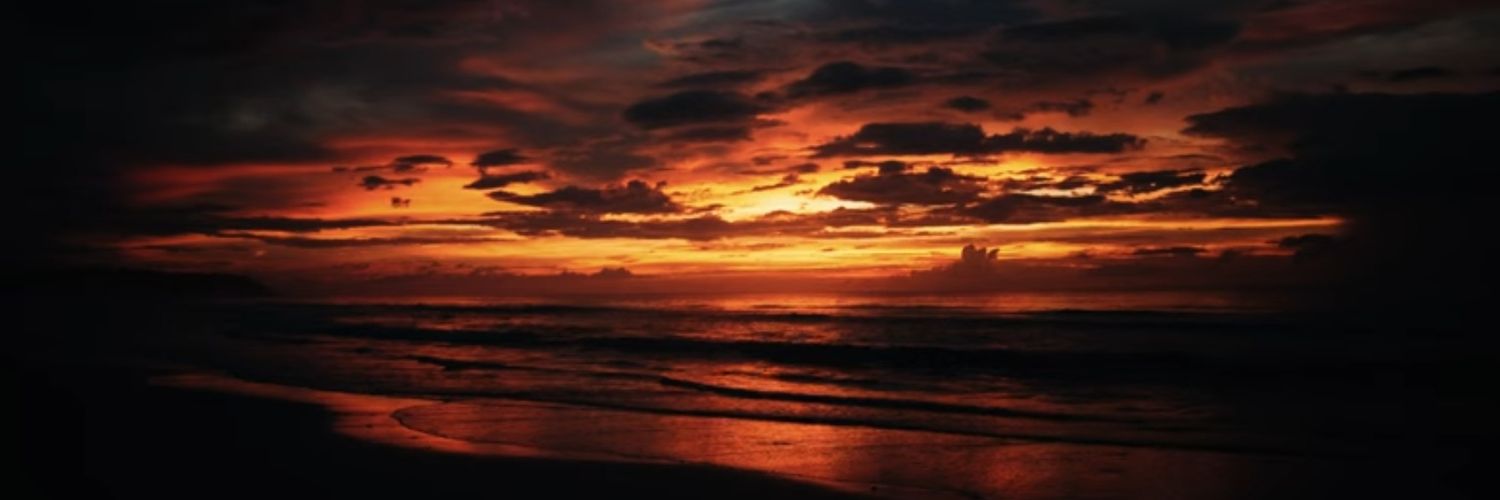 sheism__'s profile banner image