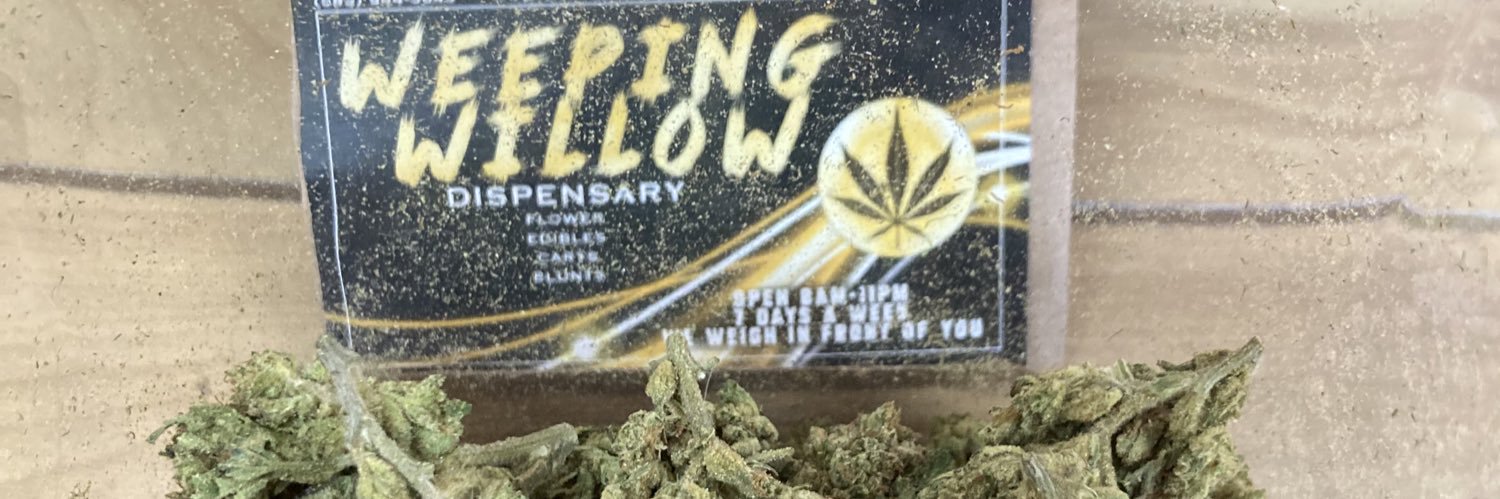 weeping willow banner