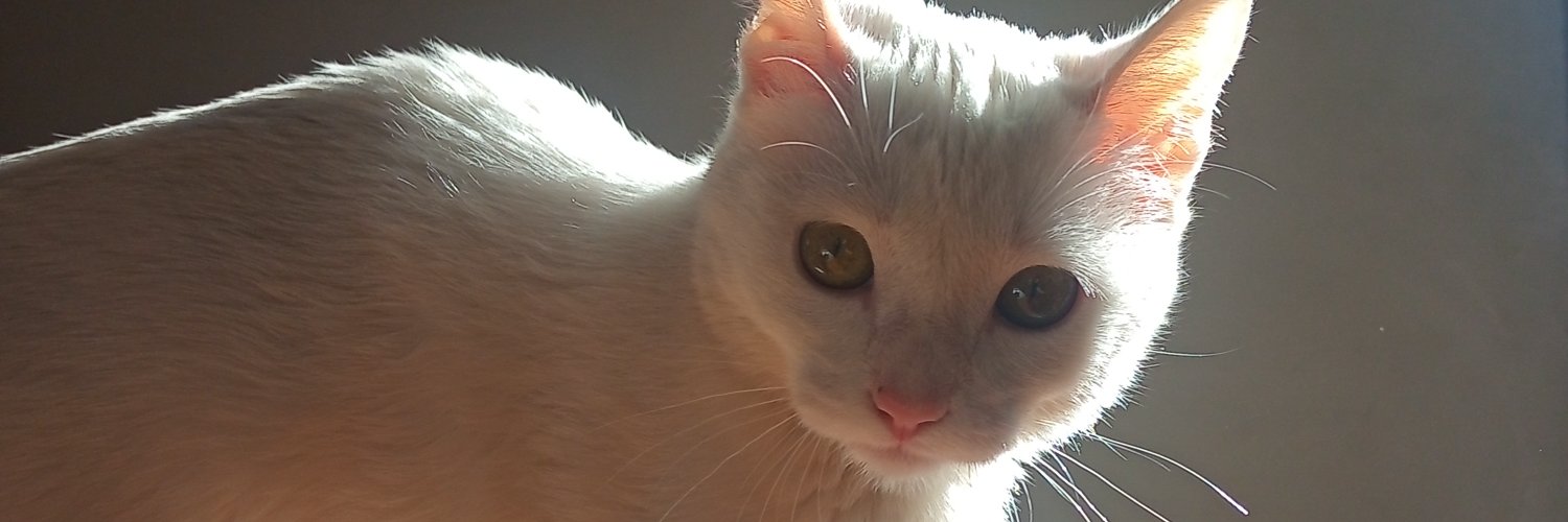 Mferv_'s profile banner image