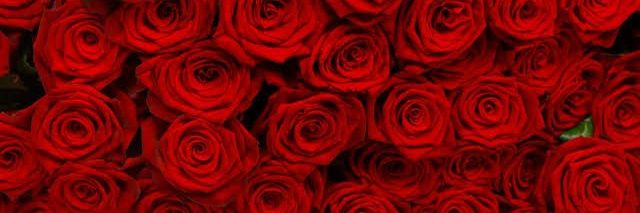 REDMODA_'s profile banner image