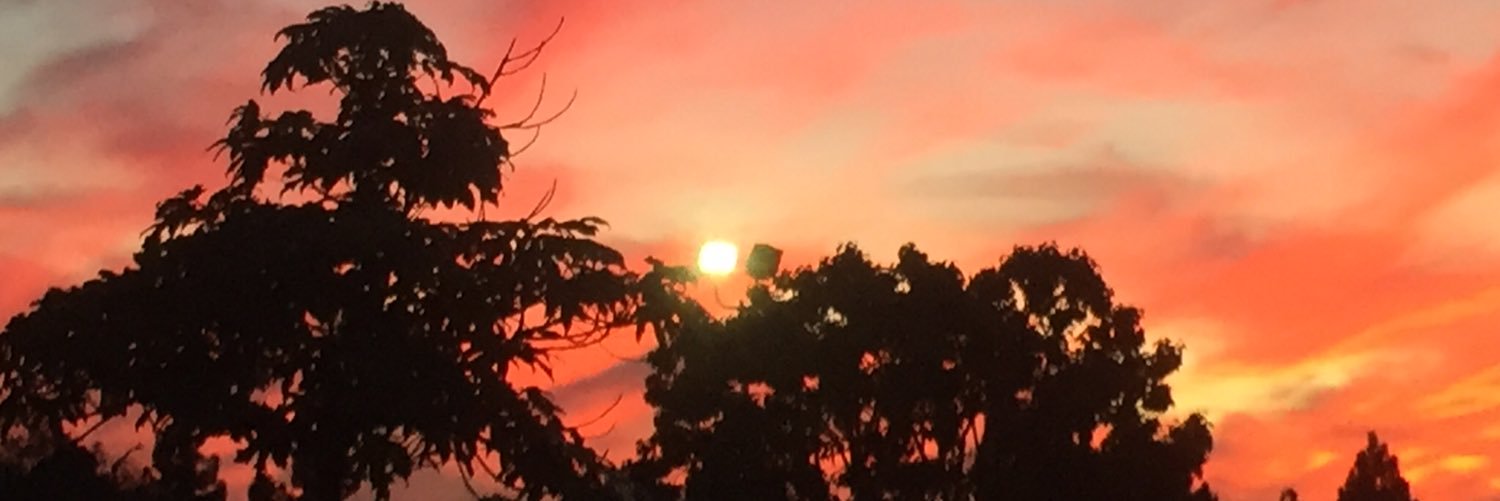 ARShapiro68's profile banner image