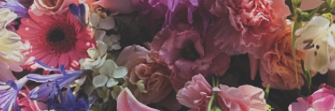 Zmfg828's profile banner image
