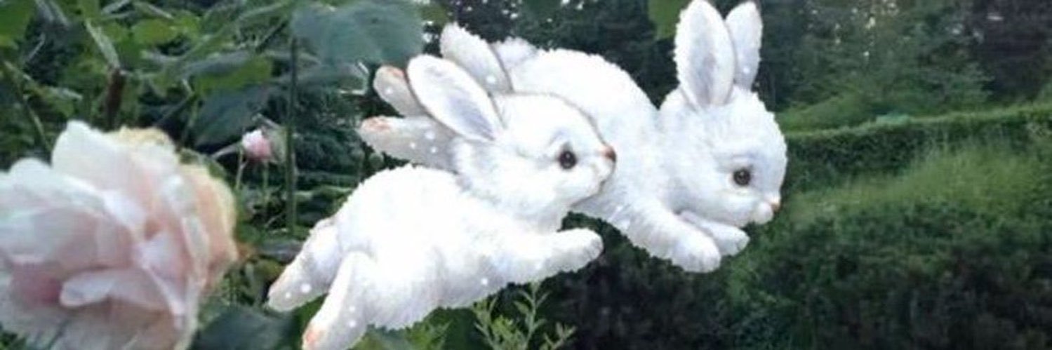 beingniceissocool banner