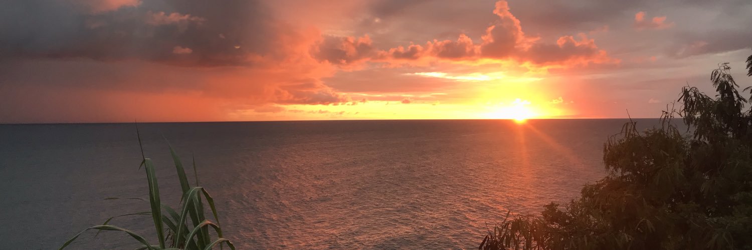 Ellynharris2's profile banner image