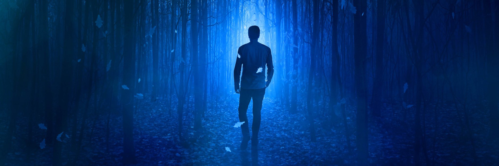 Gary Wayne Clark banner