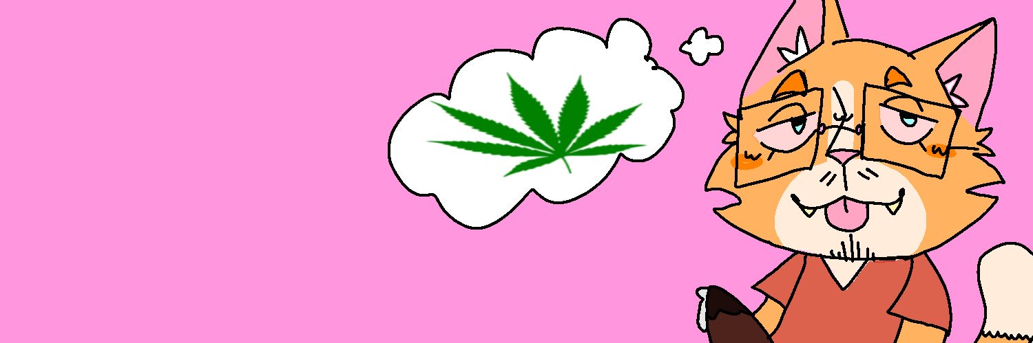 16Peppy's profile banner image