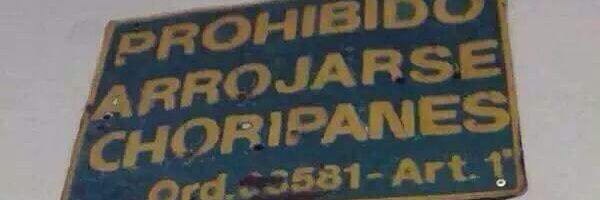 🇵🇸🌸Florencia Salgueiro🌸🇵🇸 banner