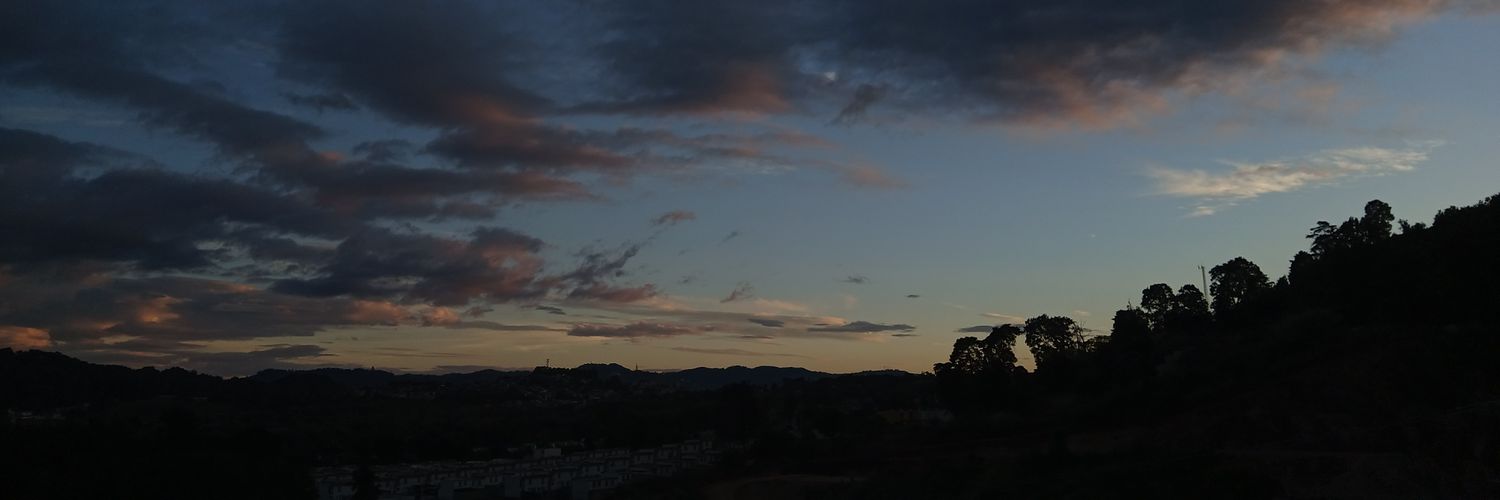 ldelaura_'s profile banner image