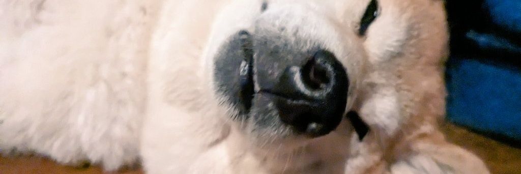 ddsushidd's profile banner image