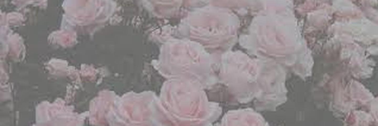 itsmegabidx's profile banner image