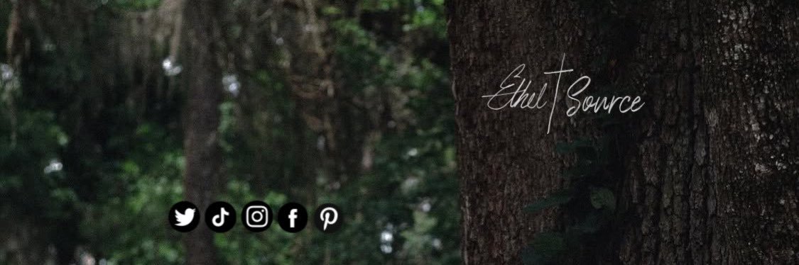 Ethel Cain Updates banner