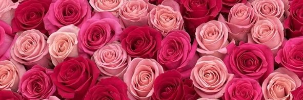 BRITTthisNdat's profile banner image