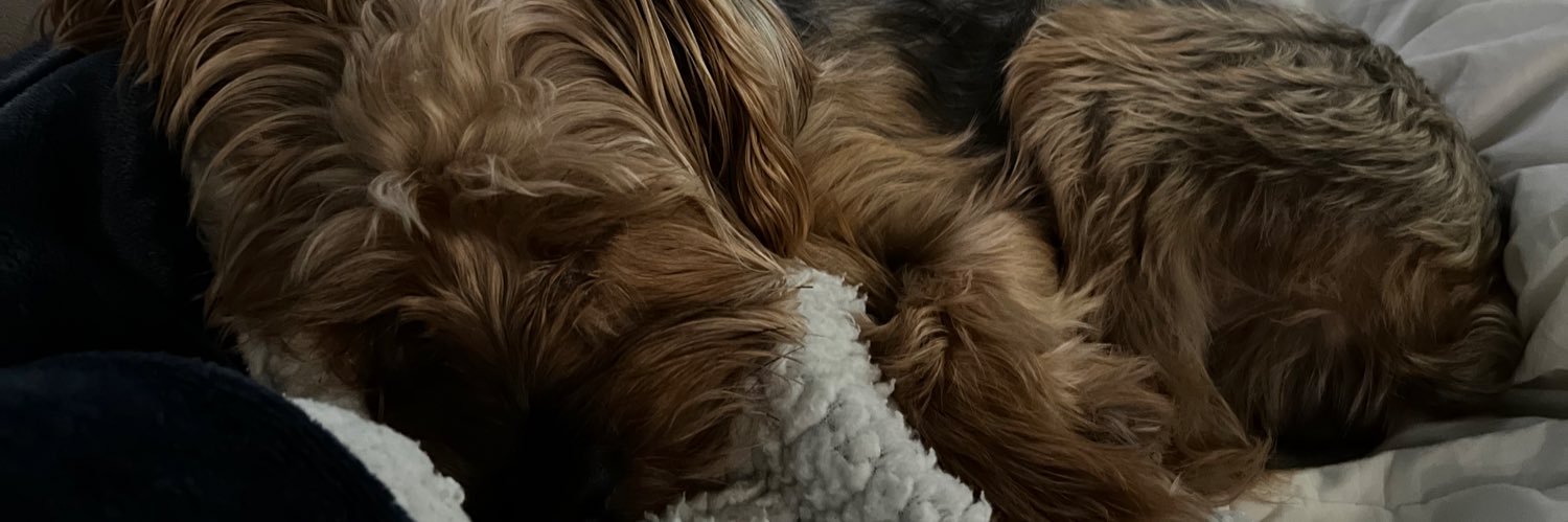 Cheezuz0's profile banner image
