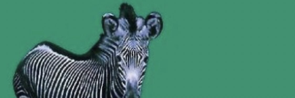 Mild West banner
