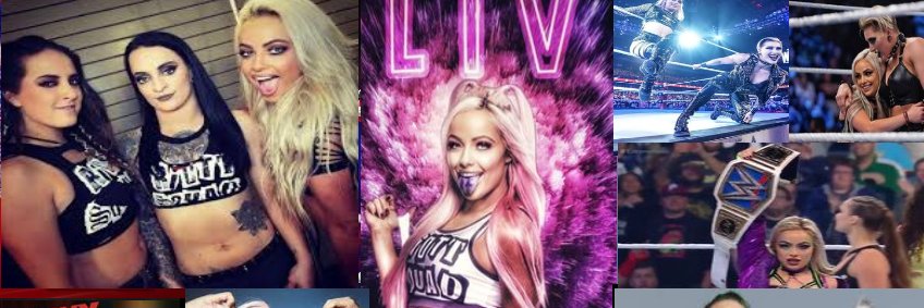 🦋Butterfly System🦋 banner