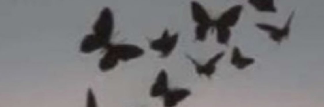 SFooofh's profile banner image