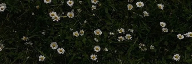 xxix_97's profile banner image