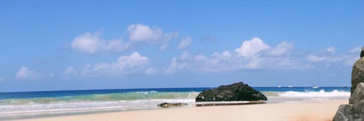 azevedojoy's profile banner image