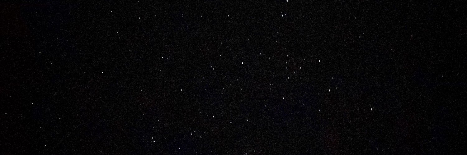 LariMicolucci's profile banner image
