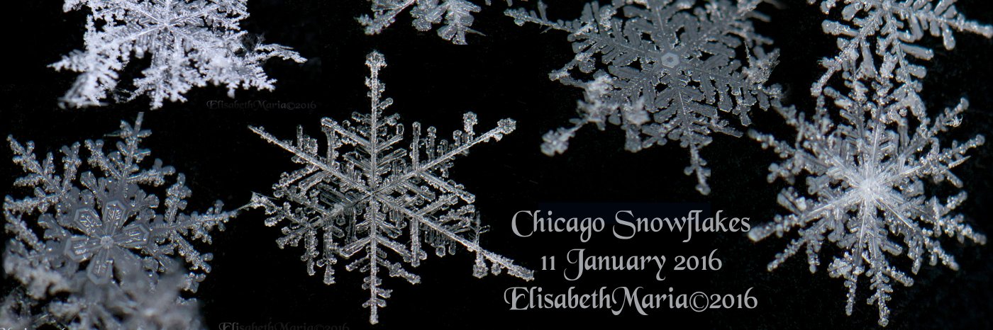 expressitwrite's profile banner image