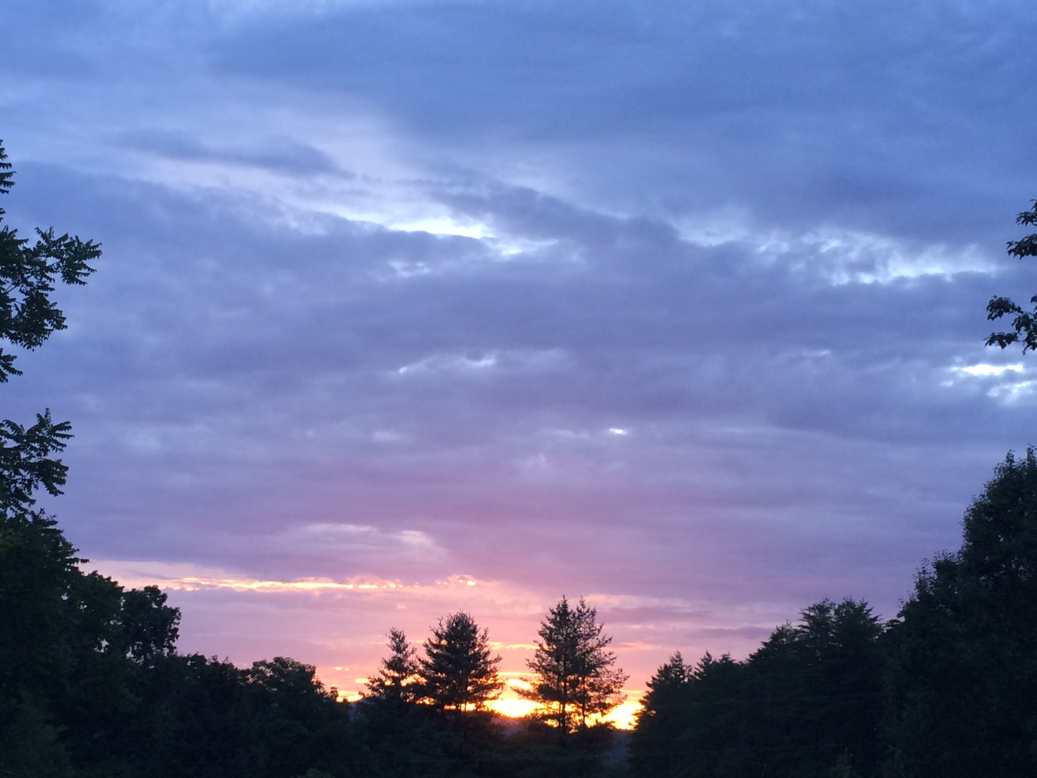hiitsmichaela's profile banner image