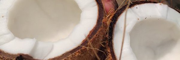 WilsonO65542145 Profile Banner