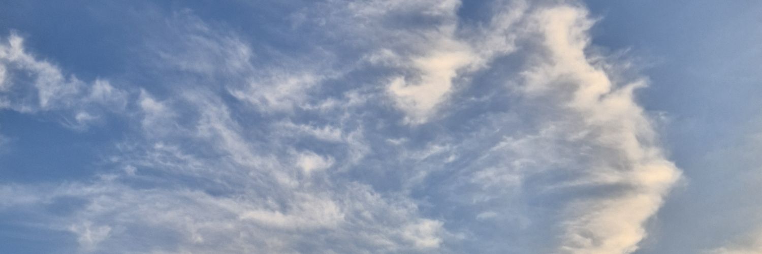bimilchingooooo's profile banner image