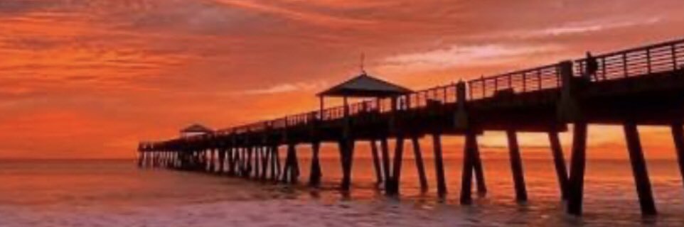 little tweeter 💙 banner