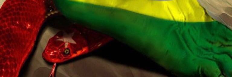 DrOstrowski's profile banner image