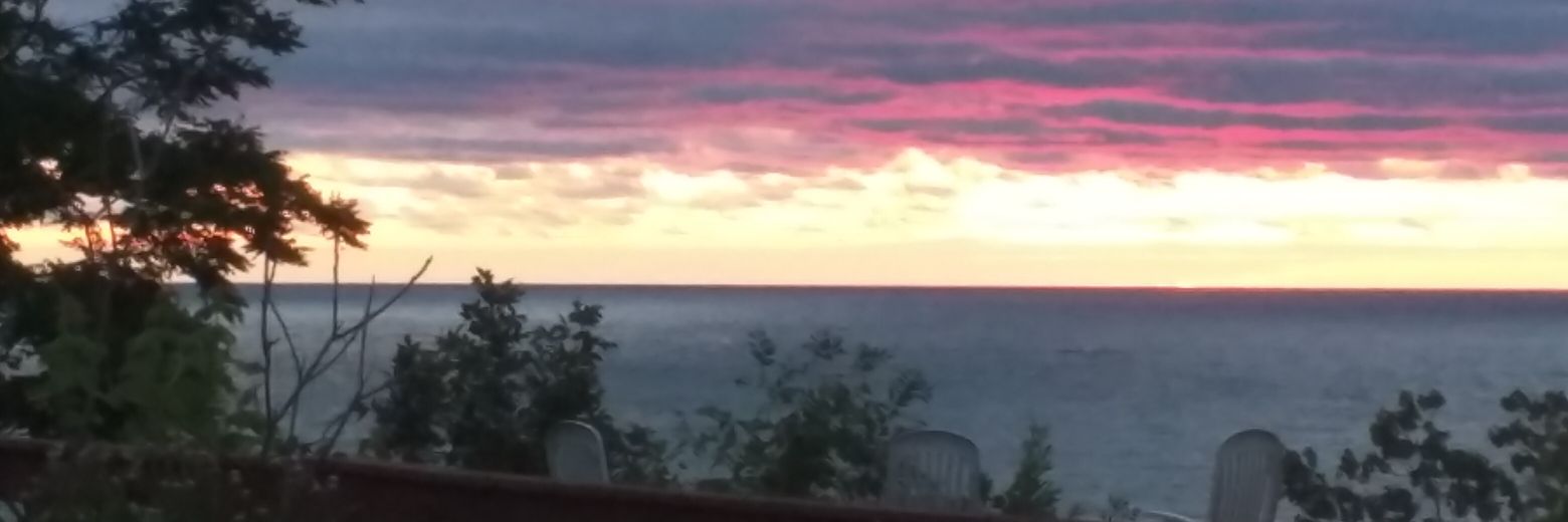 mara_hauser's profile banner image