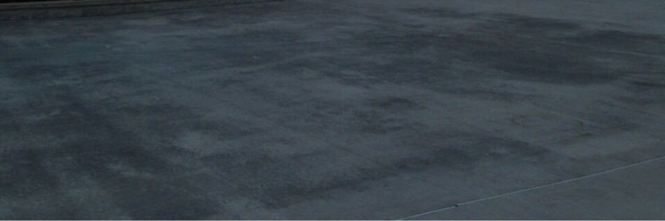 Paula Catena banner