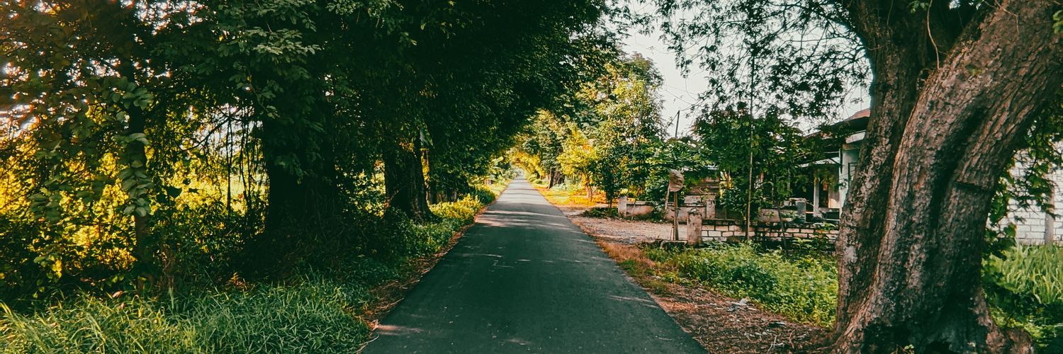 lutfiraun_'s profile banner image