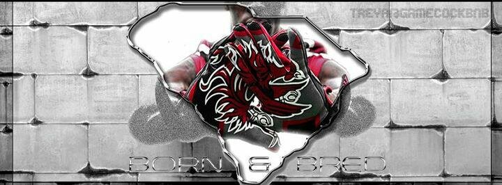 KoleyLedford's profile banner image