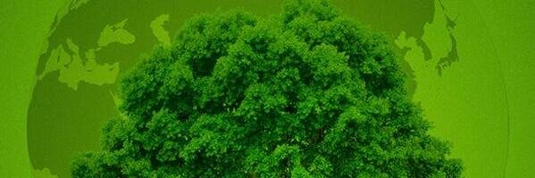 VHalasyam's profile banner image