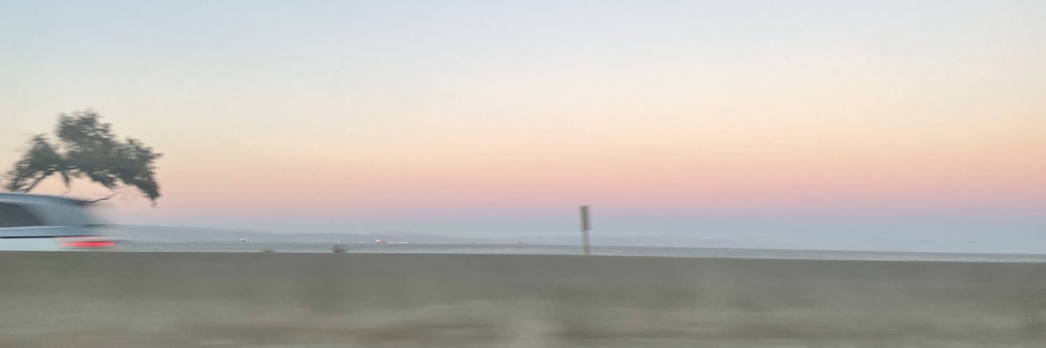 celine_roest's profile banner image