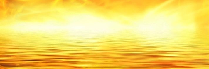 Joel banner
