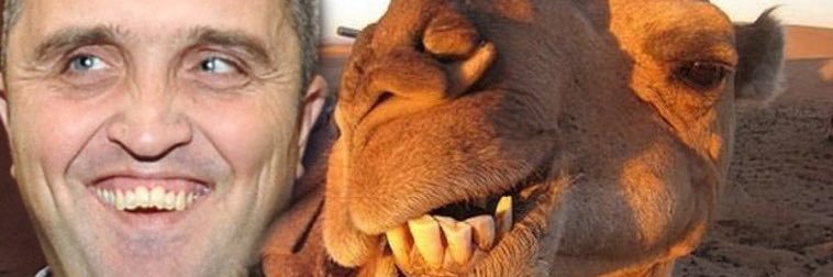 Progonitelj botova banner