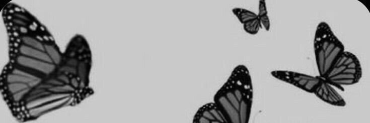LapointChels's profile banner image