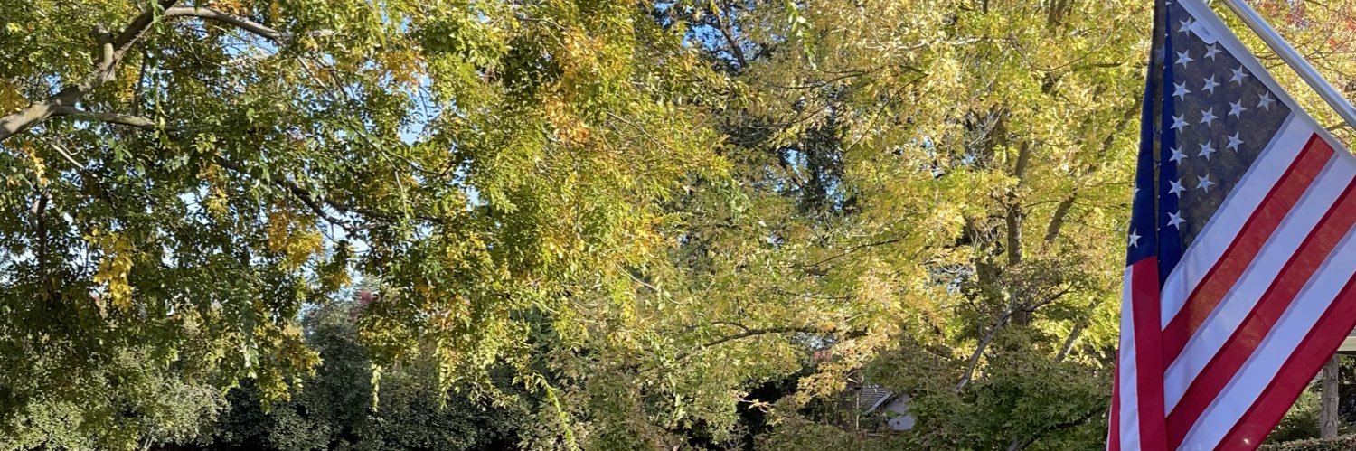 Wendy Farschman banner