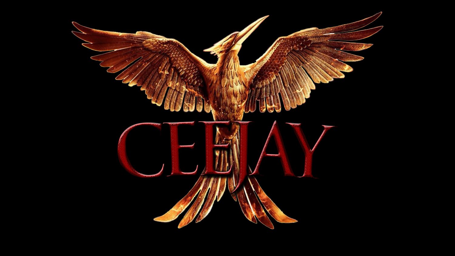 CEEJAY_HTX's profile banner image