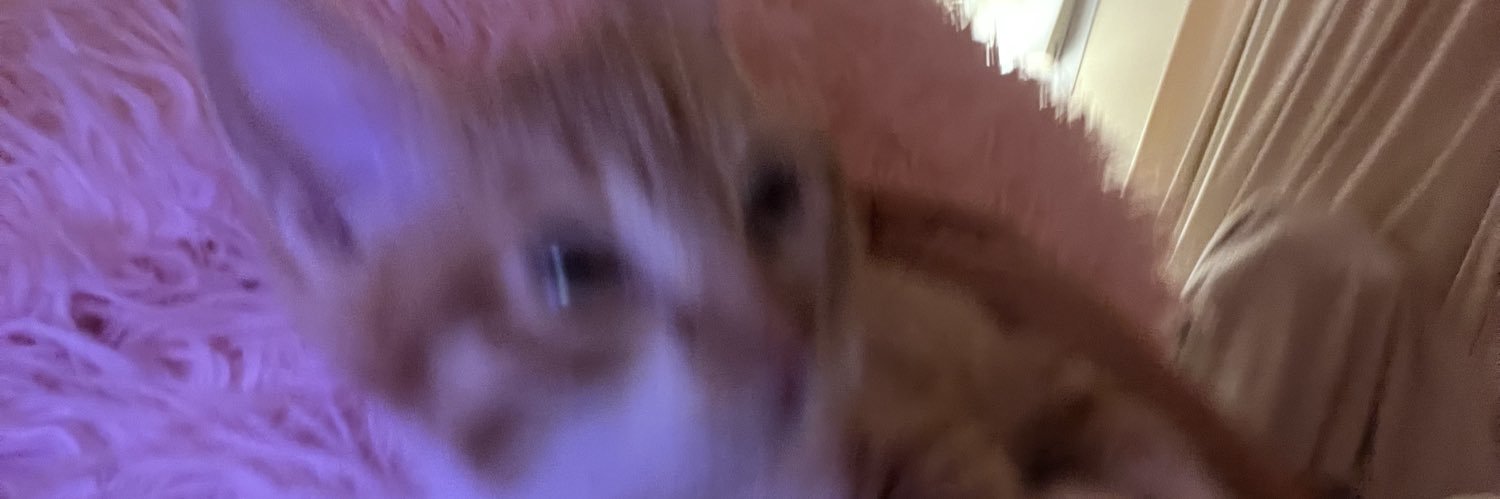 ꨄ banner