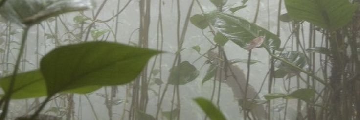 tayrraeff's profile banner image