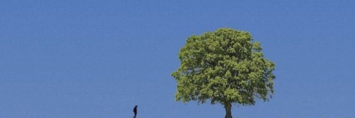 jonahsarchives's profile banner image