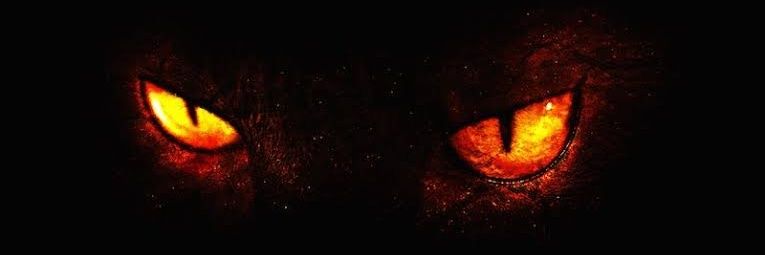 franzm21's profile banner image