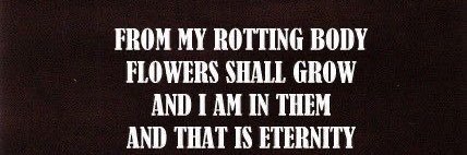 funnitas funnitatum banner