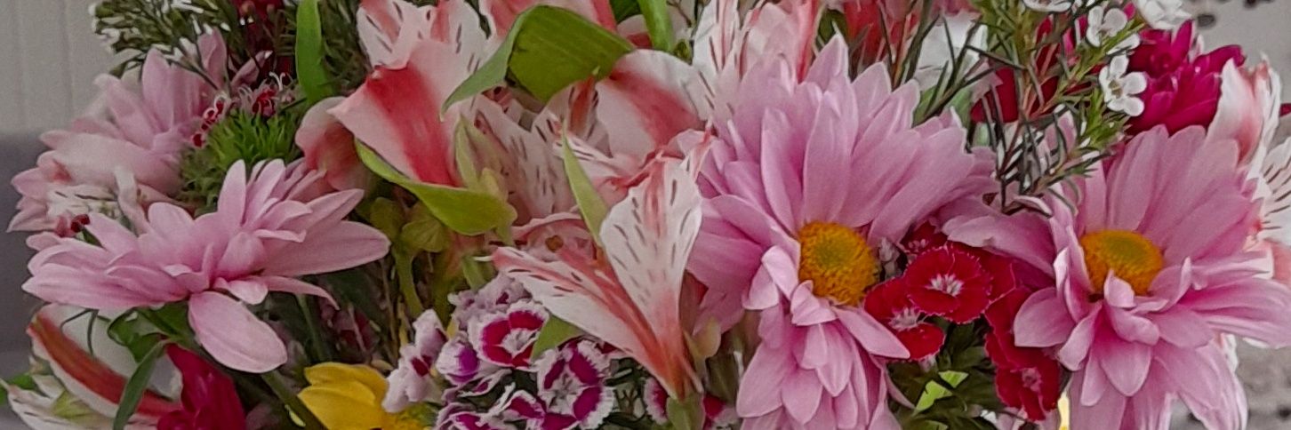 CamilaMiser's profile banner image